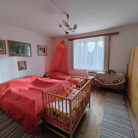 Гостевой дом Vinyl House Strekov Экстерьер фото