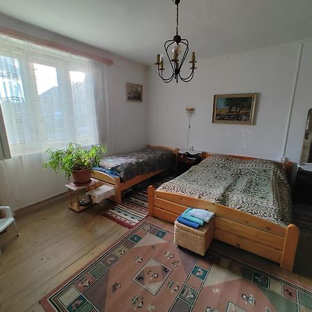 Гостевой дом Vinyl House Strekov Экстерьер фото