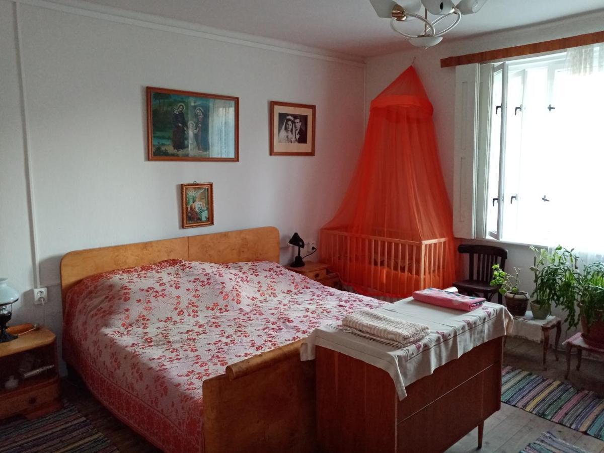 Гостевой дом Vinyl House Strekov Экстерьер фото